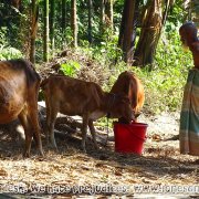 Bithar Ghar 05